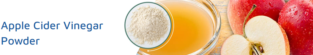 bulk apple cider vinegar powder bulk apple cider vinegar powder