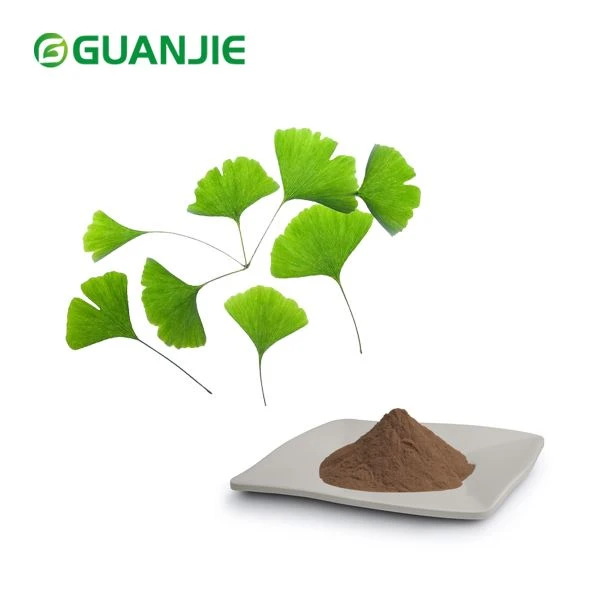 Ginkgo Biloba-Extrakt-Pulver