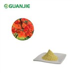 Fisetin-Pulver