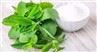 Stevia Leaf Extract Powder