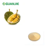 Gefriergetrocknetes Durian-Pulver