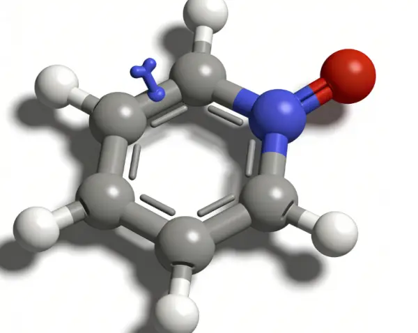 What Are The Ingredients In Citicoline What Are The Ingredients In Citicoline