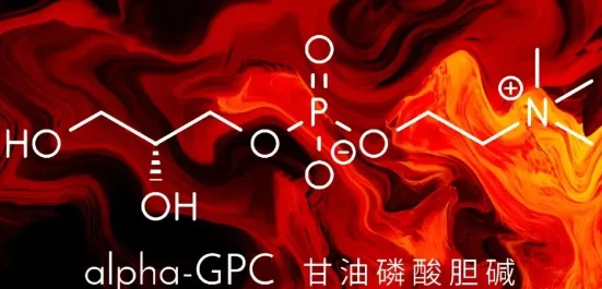 Bulk Alpha GPC Bulk Alpha GPC